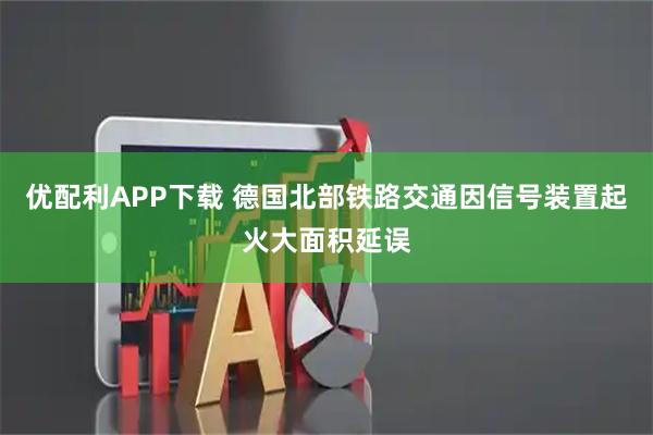 优配利APP下载 德国北部铁路交通因信号装置起火大面积延误