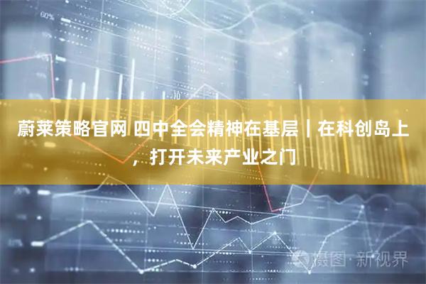 蔚莱策略官网 四中全会精神在基层｜在科创岛上，打开未来产业之门